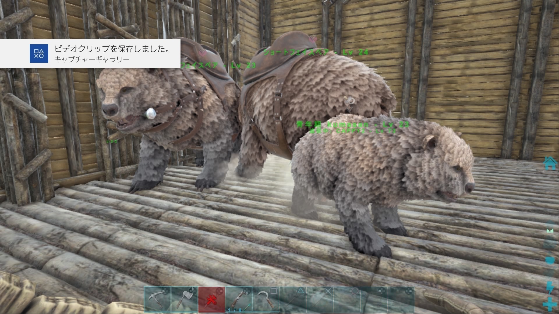 アークps4 オヴィラプトル オビラプトル についての話 卵の効率的な産ませ方等 Ark 初心者ブロガーの徒然日記