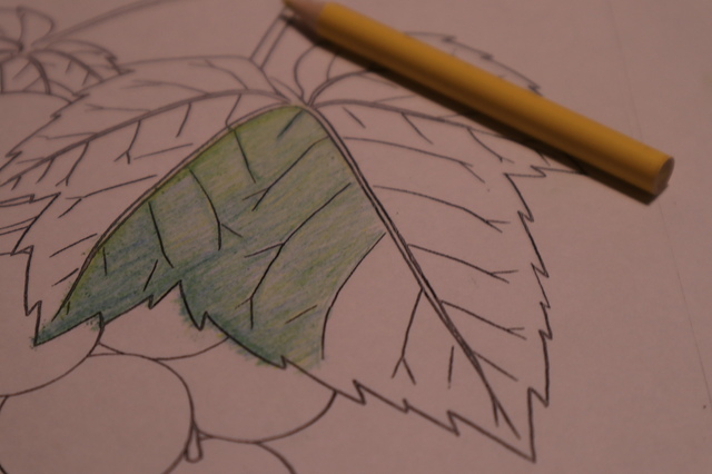 ダークソウル１リマスター版 強い深淵の主マヌスのソウルの説明文から見る正体の考察と攻略法の話 無印 初心者ブロガーの徒然日記