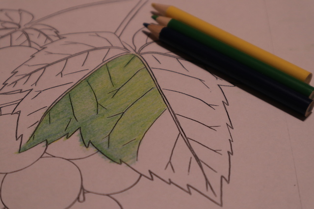 ダークソウル１リマスター版 強い深淵の主マヌスのソウルの説明文から見る正体の考察と攻略法の話 無印 初心者ブロガーの徒然日記