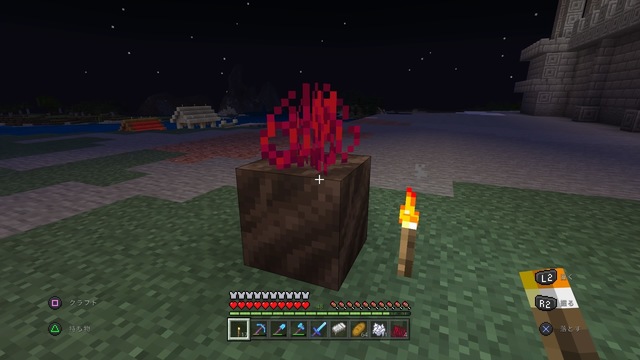 Minecraft_20200624182602.jpg
